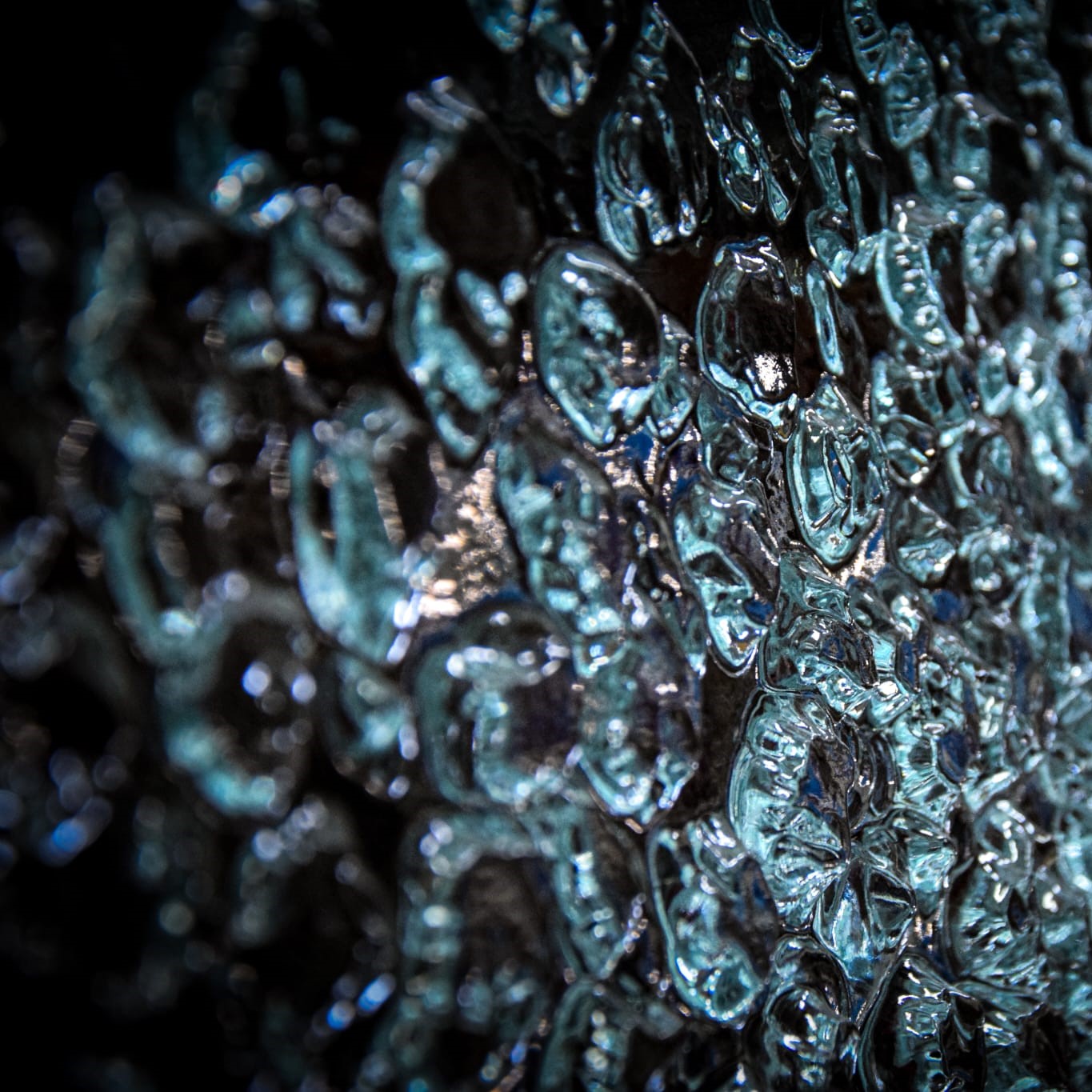 Why Not? - Image 4